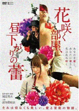 青春校园剧半夏微光剧集封面
